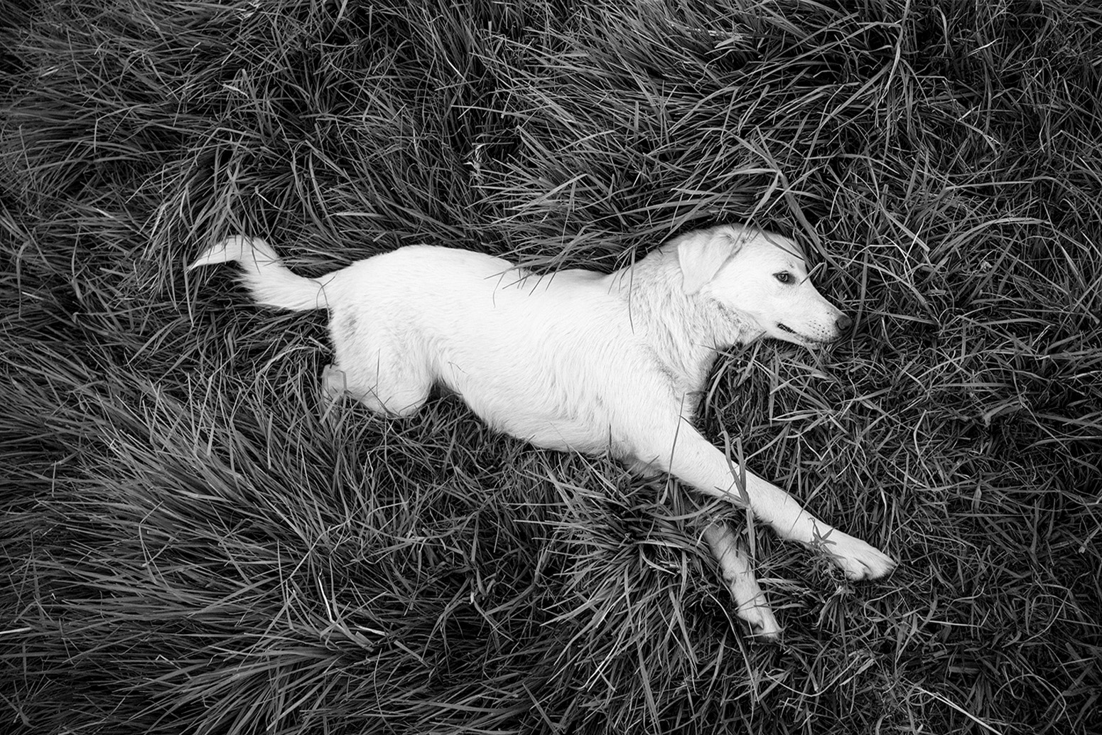 Killian Girardin Earth 7